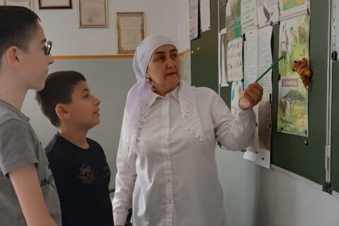 Картинка