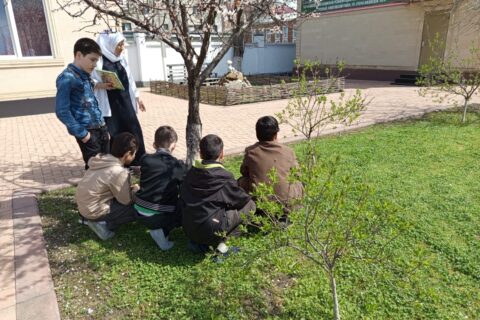 Картинка